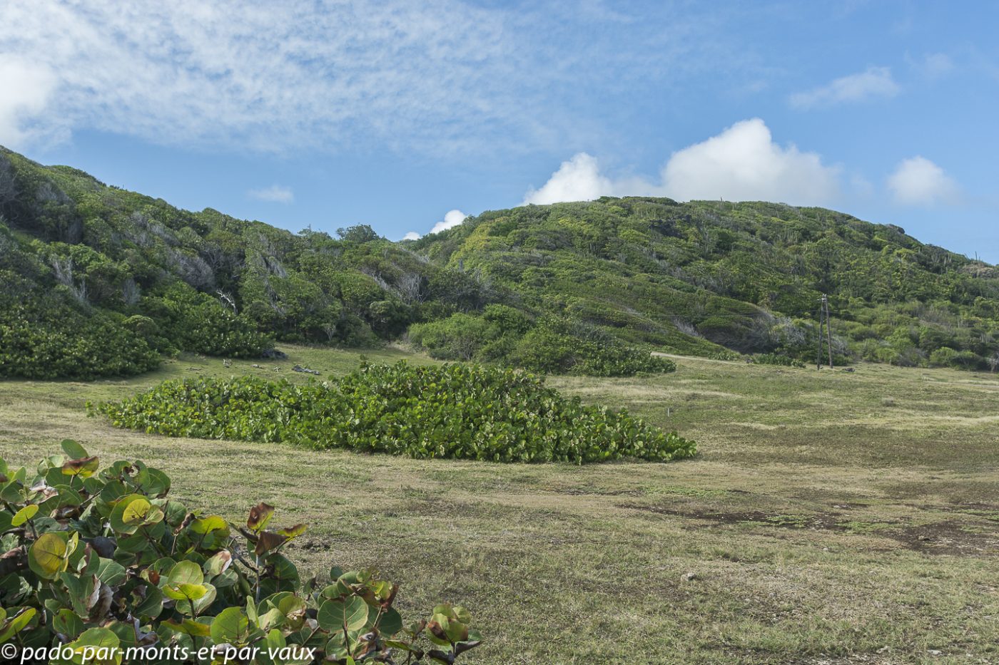 2021- Marie-Galante-Les-Galeries 2021- Marie-Galante-Les-Galeries