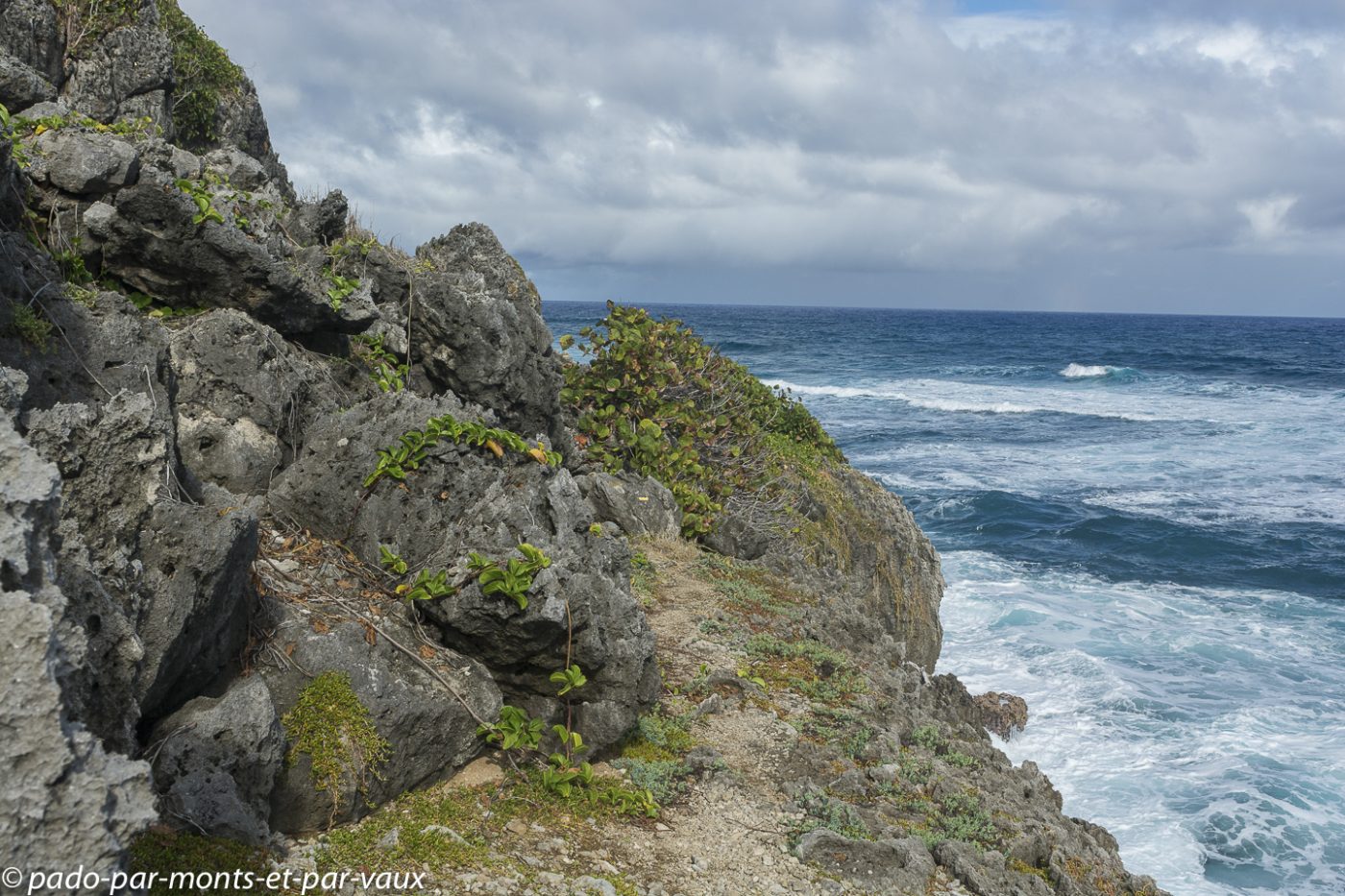 2021- Marie-Galante-Les-Galeries 2021- Marie-Galante-Les-Galeries