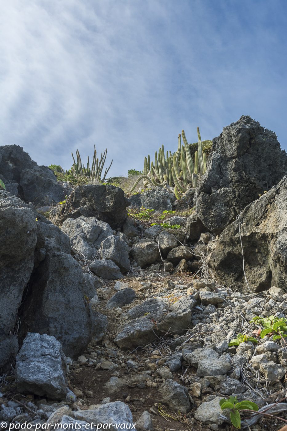 2021- Marie-Galante-Les-Galeries 2021- Marie-Galante-Les-Galeries