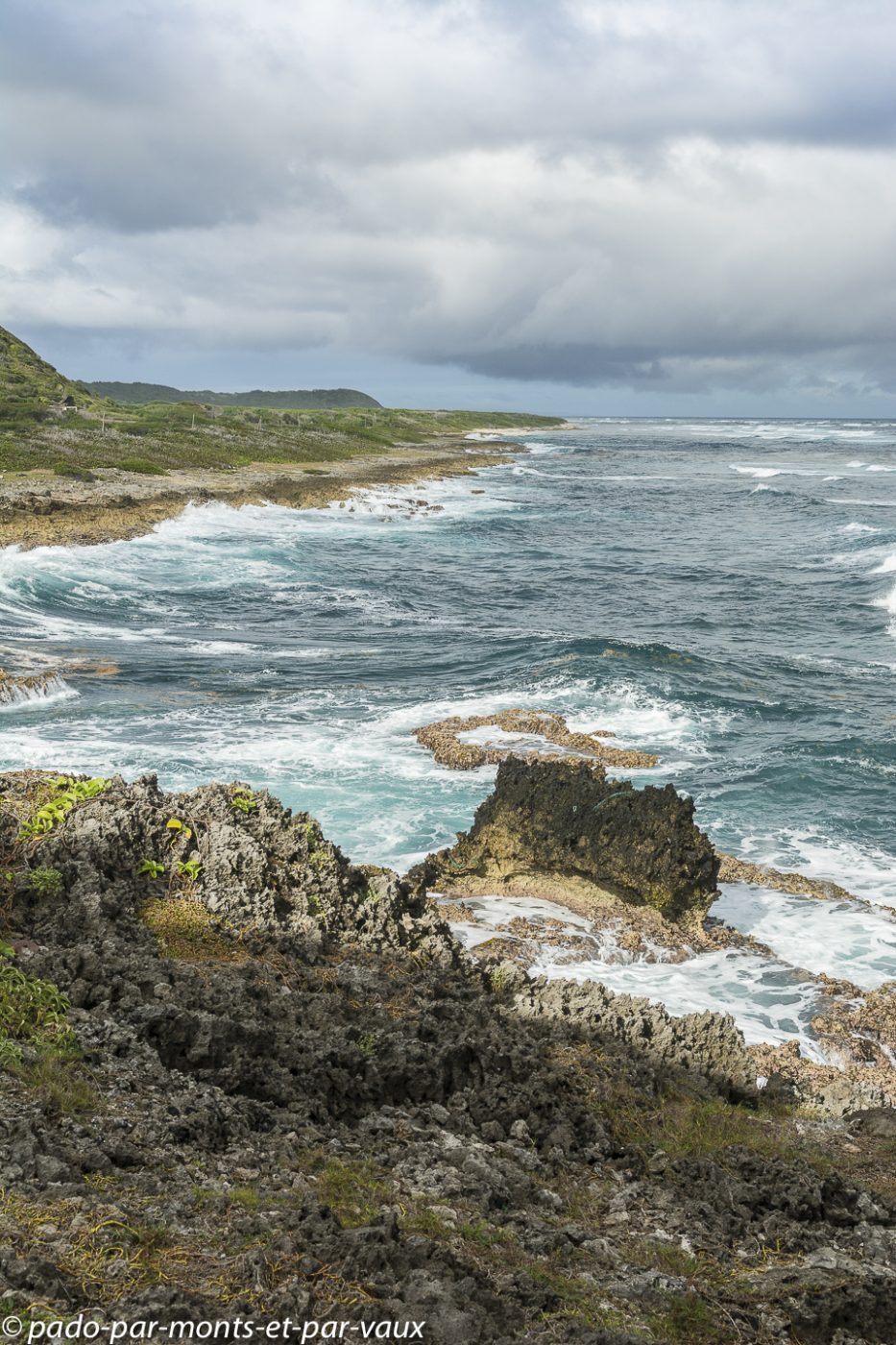 2021- Marie-Galante-Les-Galeries 2021- Marie-Galante-Les-Galeries