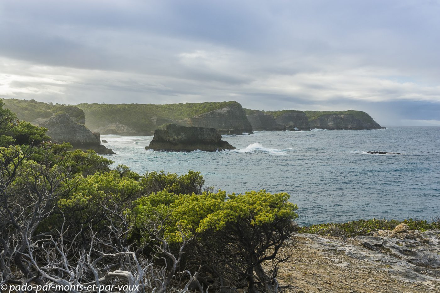 2021- Marie-Galante-Caye-plate 2021- Marie-Galante-Caye-plate