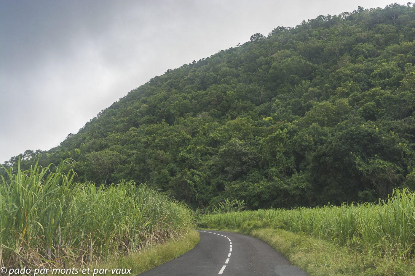 2021- Marie-Galante 2021- Marie-Galante