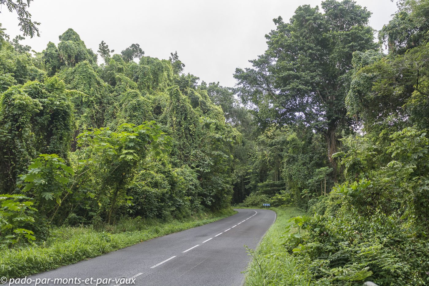 2021- Marie-Galante 2021- Marie-Galante