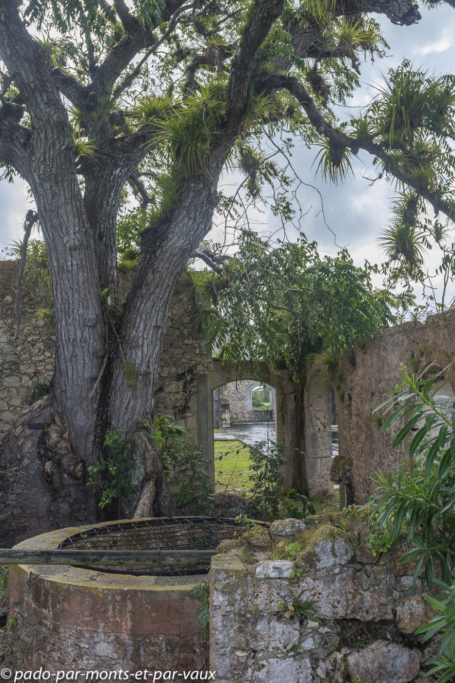 2021- Marie-Galante-Habitation Murat 2021- Marie-Galante-Habitation Murat