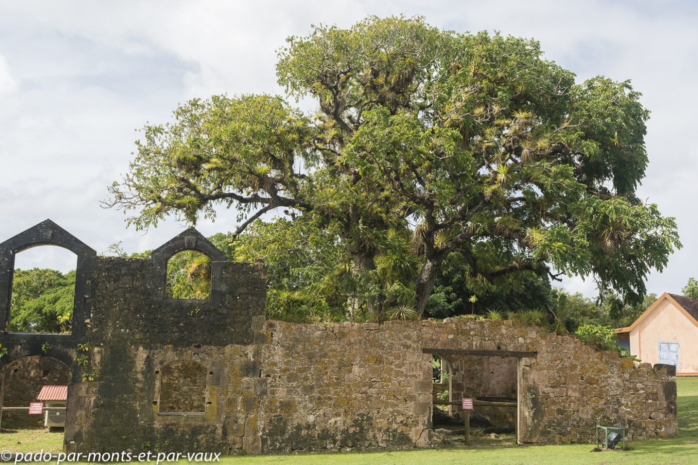 2021- Marie-Galante-Habitation Murat 2021- Marie-Galante-Habitation Murat