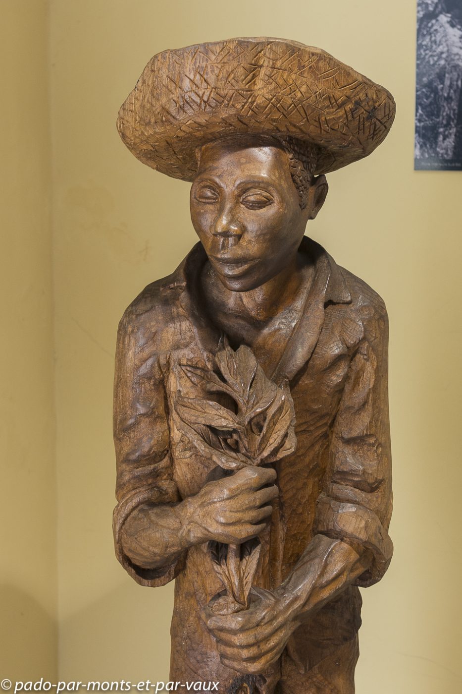 2021- Marie-Galante-Habitation Murat 2021- Marie-Galante-Habitation Murat