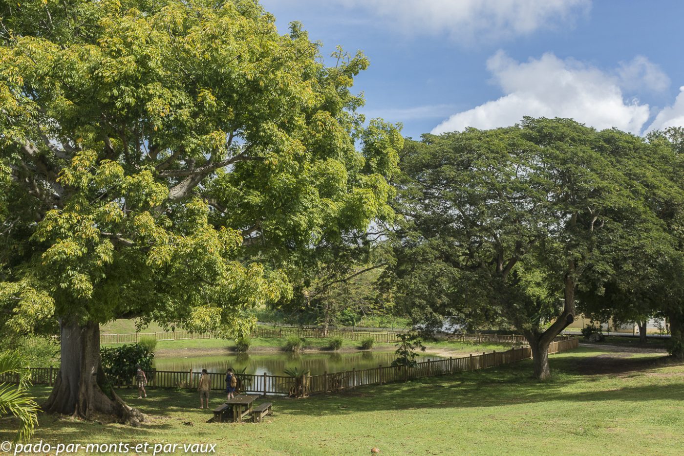 2021- Marie-Galante-Habitation Murat 2021- Marie-Galante-Habitation Murat