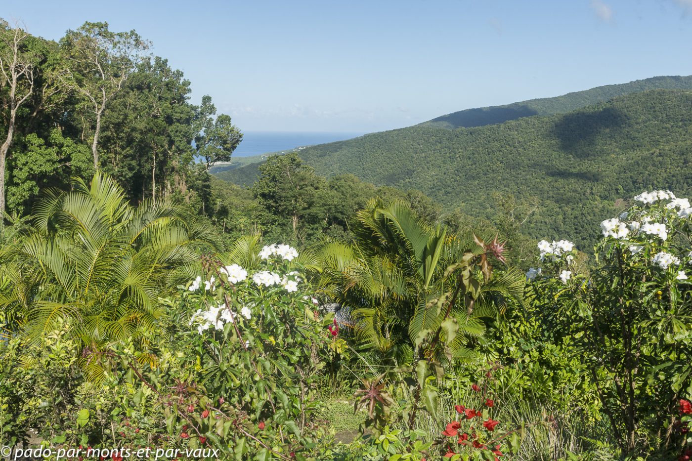 2021- Basse-Terre-LaManon 2021- Basse-Terre- la Manon