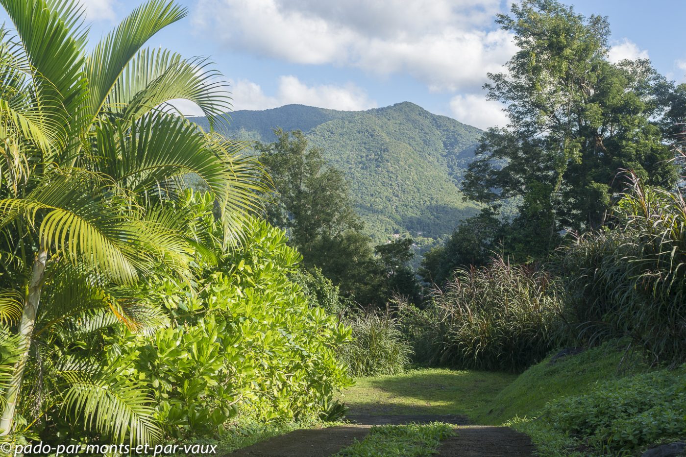 2021- Basse-Terre-LaManon 2021- Basse-Terre- la Manon