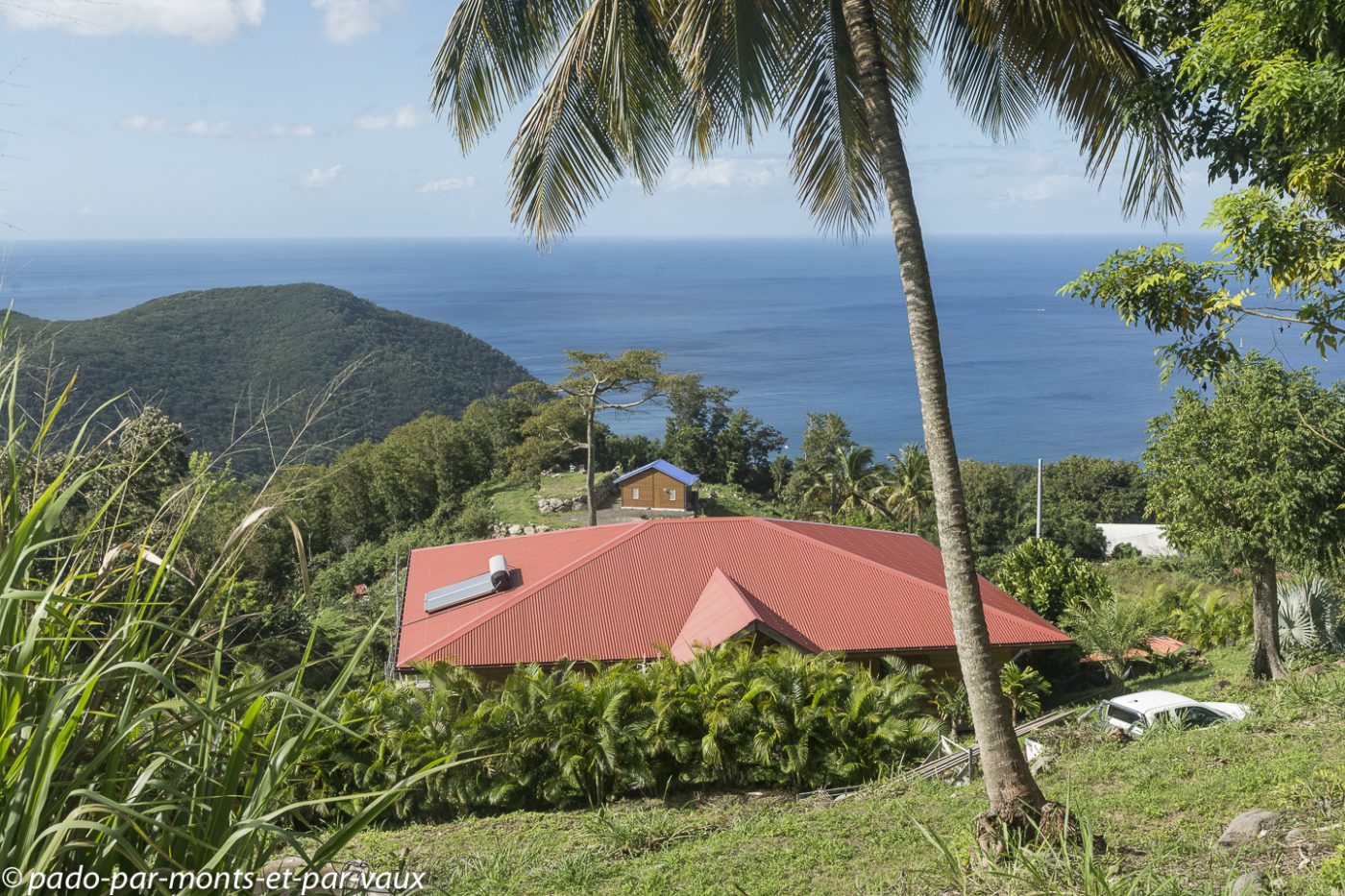 2021- Basse-Terre-Pointe Noire 2021- Basse-Terre-Pointe Noire