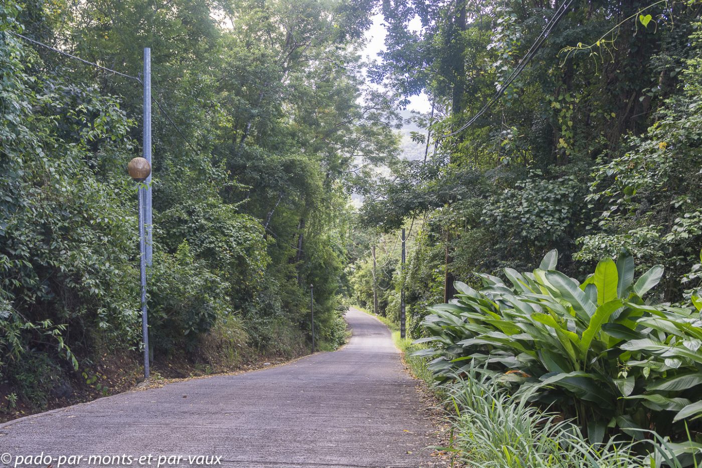 2021- Basse-Terre-Pointe Noire 2021- Basse-Terre-Pointe Noire