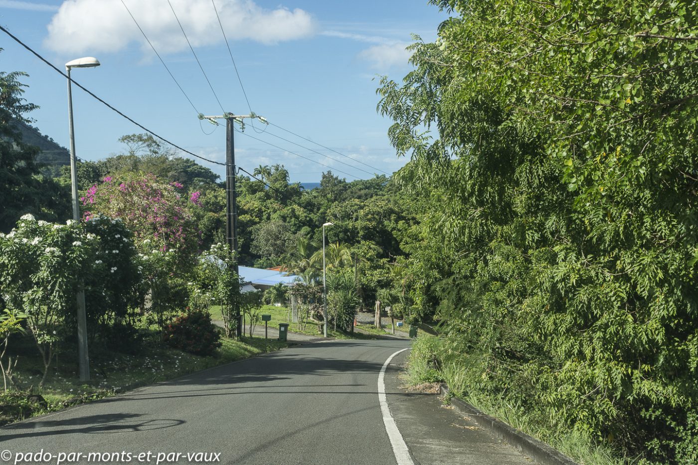 2021- Basse-Terre-Pointe Noire 2021- Basse-Terre-Pointe Noire
