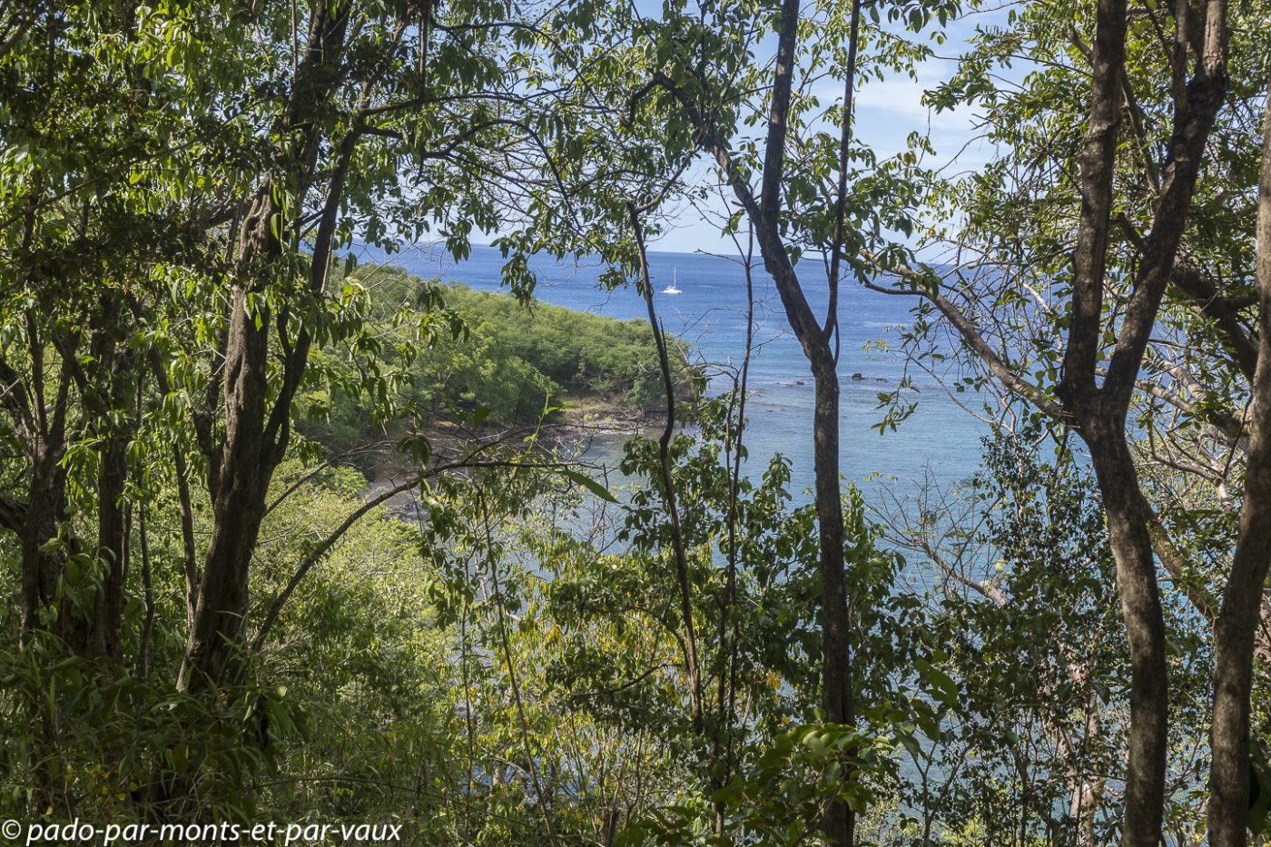 2021- Basse-Terre-Pointe à Lézard 2021- Basse-Terre-Pointe à Lézard