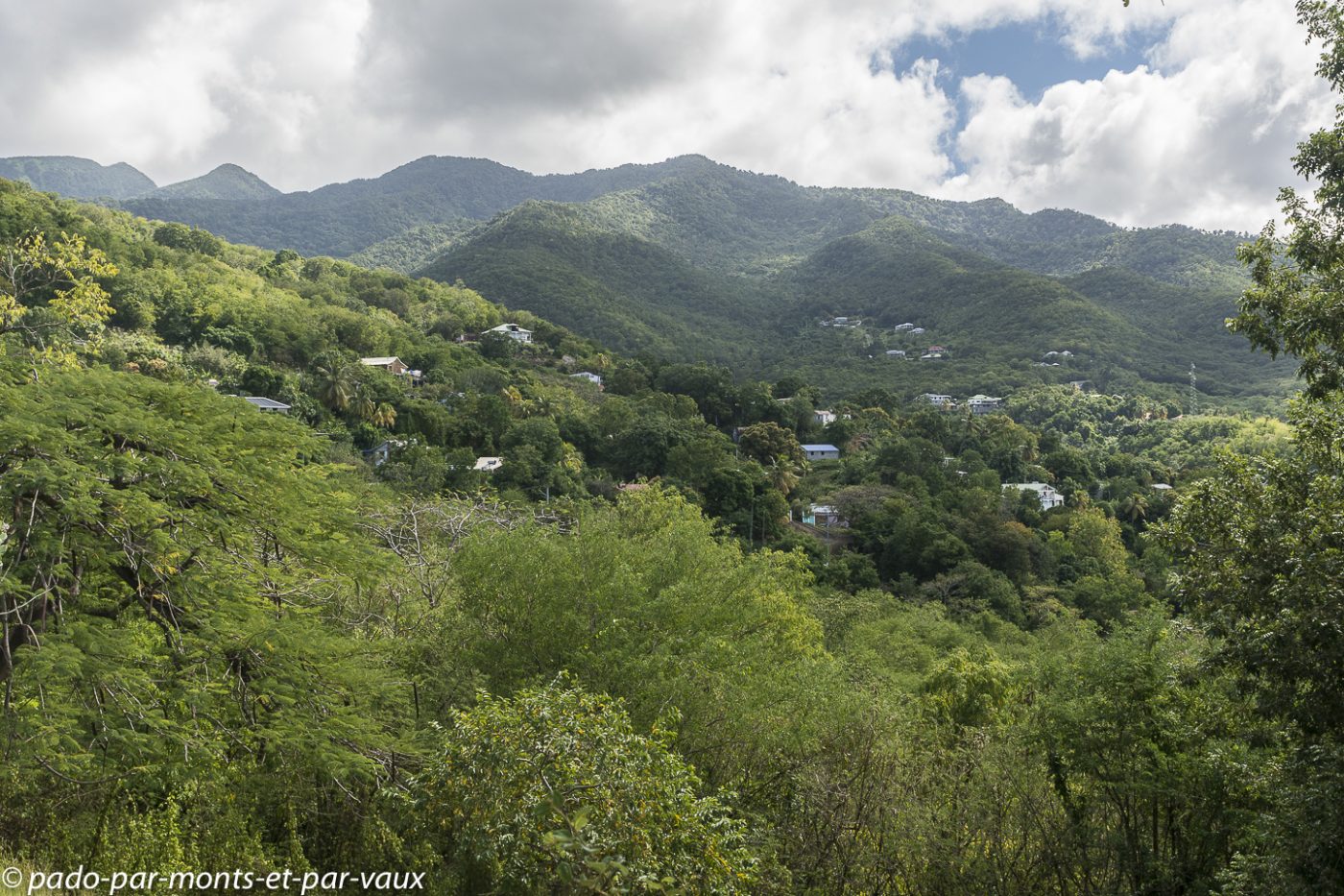 2021- Basse-Terre-Pointe-a-Lezard 2021- Basse-Terre-Pointe à Lézard