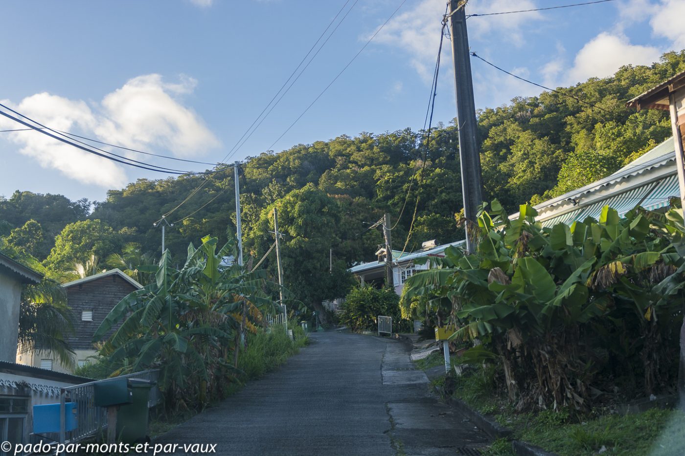 2021- Basse-Terre - hauteurs de Pointe Noire 2021- Basse-Terre - hauteurs de Pointe Noire