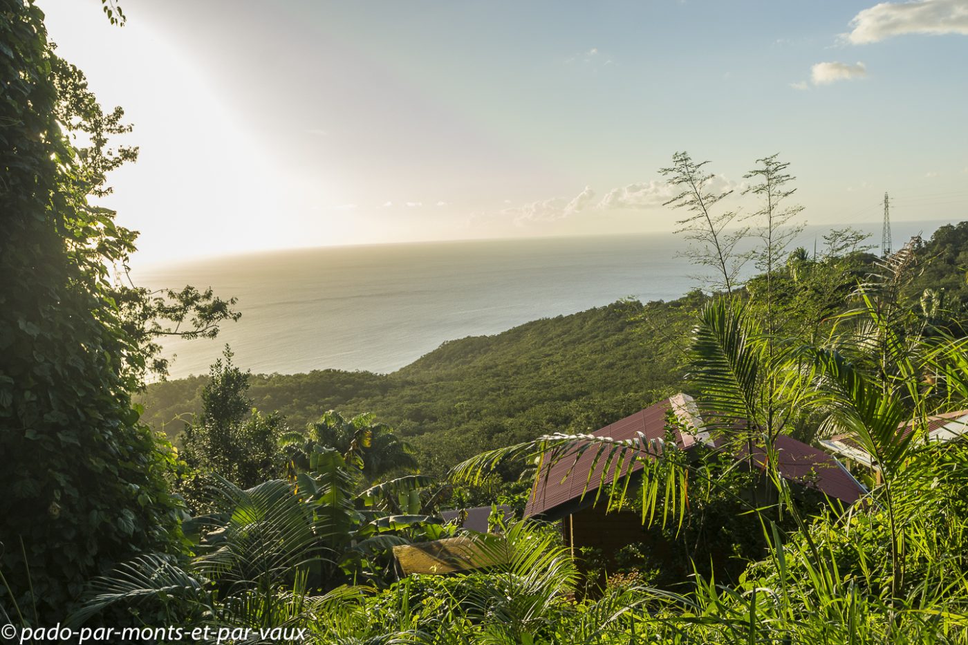 2021- Basse-Terre - hauteurs de Pointe Noire 2021- Basse-Terre - hauteurs de Pointe Noire