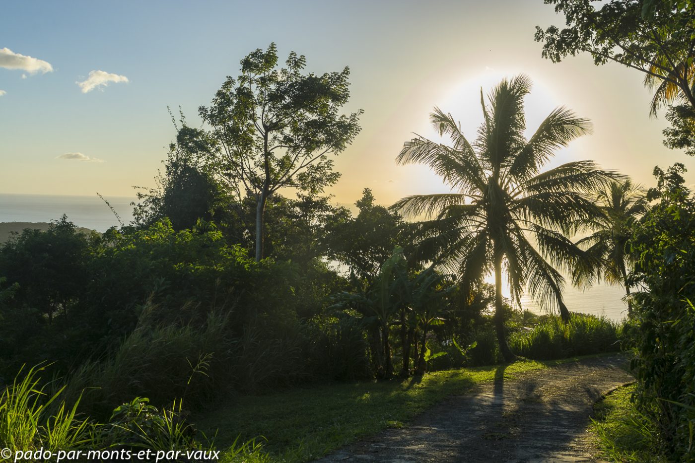2021- Basse-Terre - hauteurs de Pointe Noire 2021- Basse-Terre - hauteurs de Pointe Noire