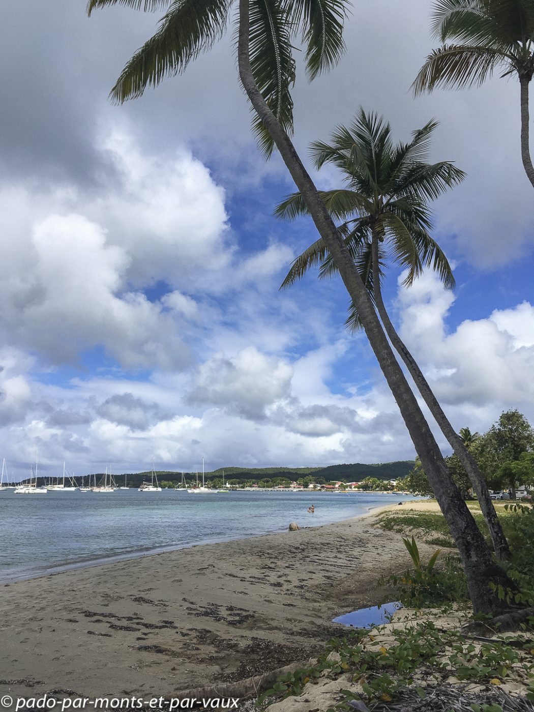 2021- Marie-Galante-Folle Anse 2021- Marie-Galante-Folle Anse