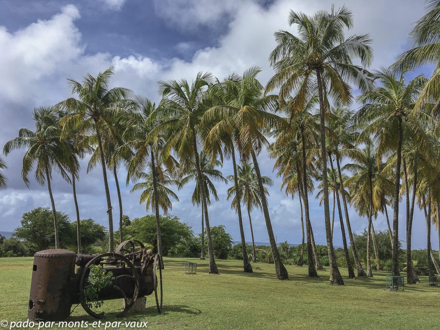 2021-MarieGalante 2021- Marie-Galante-Habitation Murat