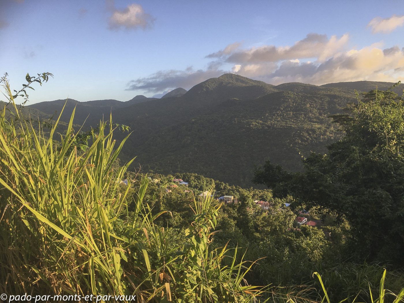 2021- Basse-Terre - hauteurs de Pointe Noire 2021- Basse-Terre - hauteurs de Pointe Noire