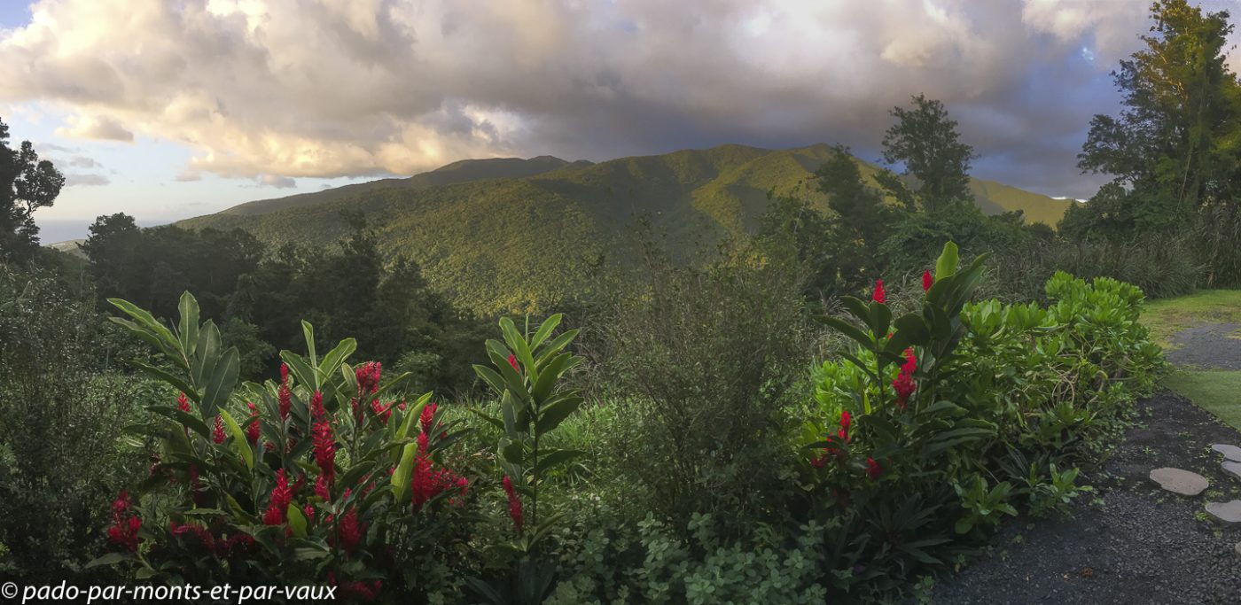 2021- Basse-Terre- la Manon 2021- Basse-Terre- la Manon