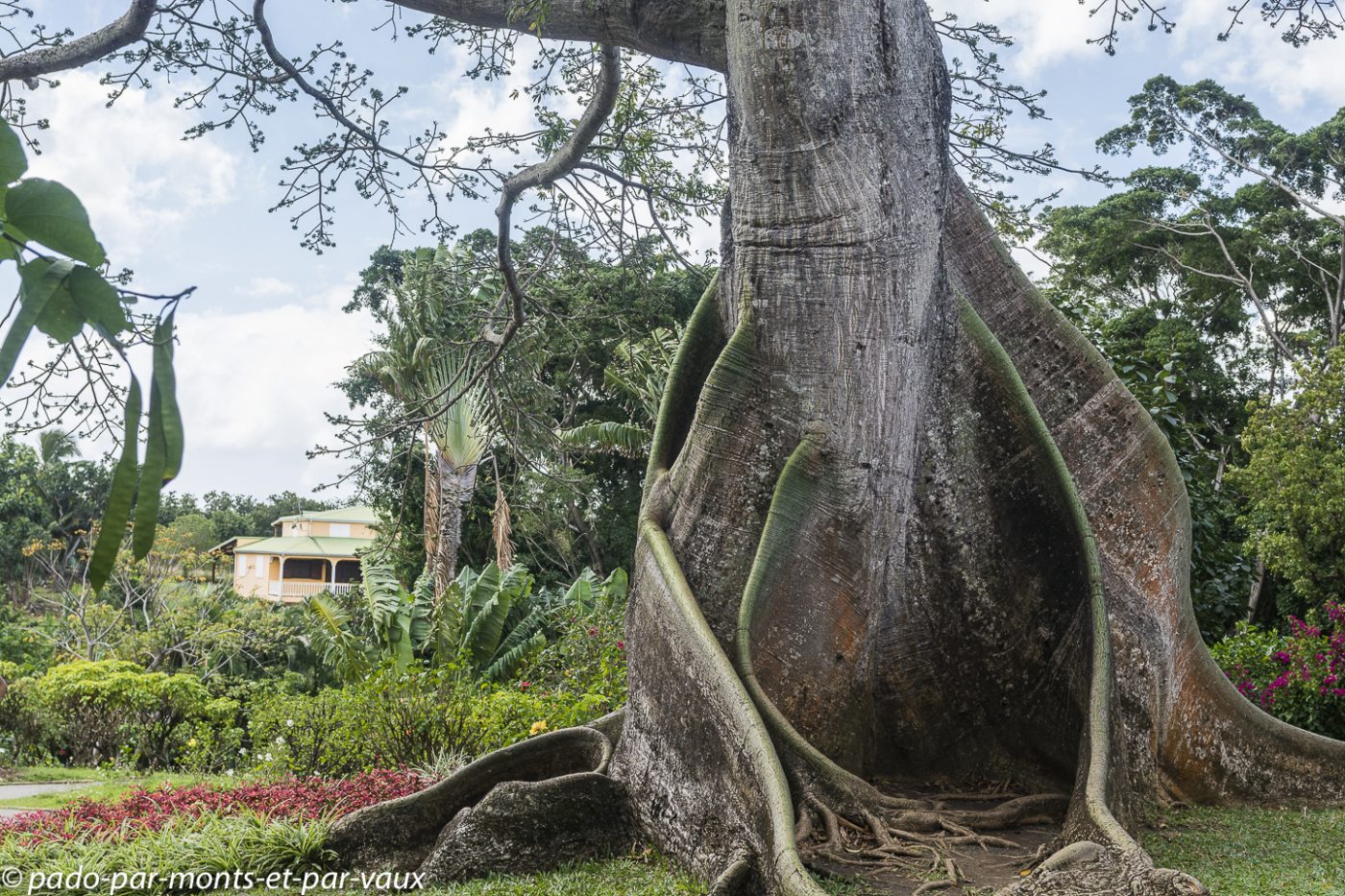 jardin de deshaies