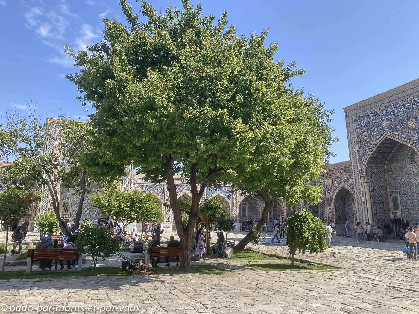 2023- Samarcande-Registan 2023- Samarcande-Registan