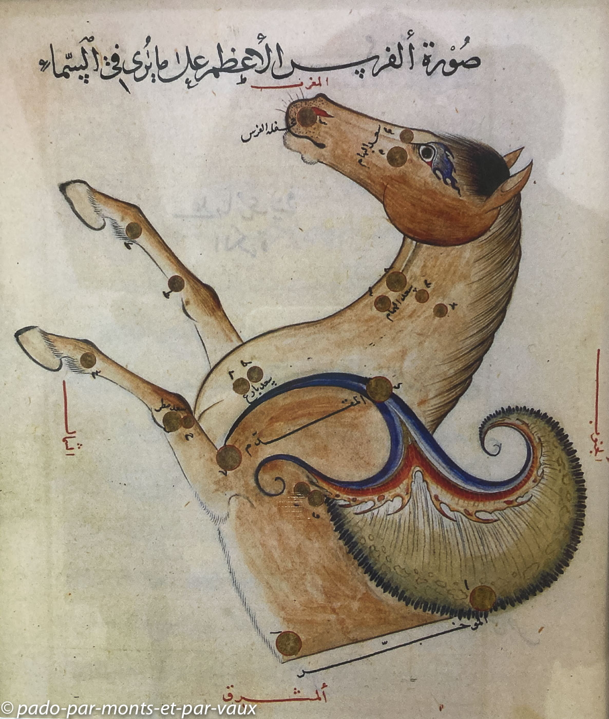 2023- Samarcande-Observatoire 2023- Samarcande-Observatoire