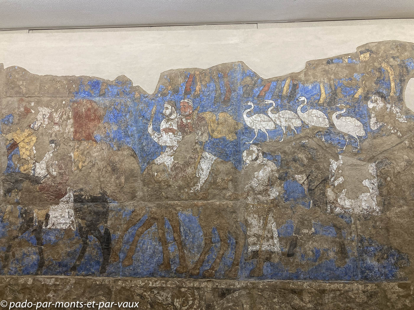 2023- Samarcande- Afrasiab 2023- Samarcande- Afrasiab