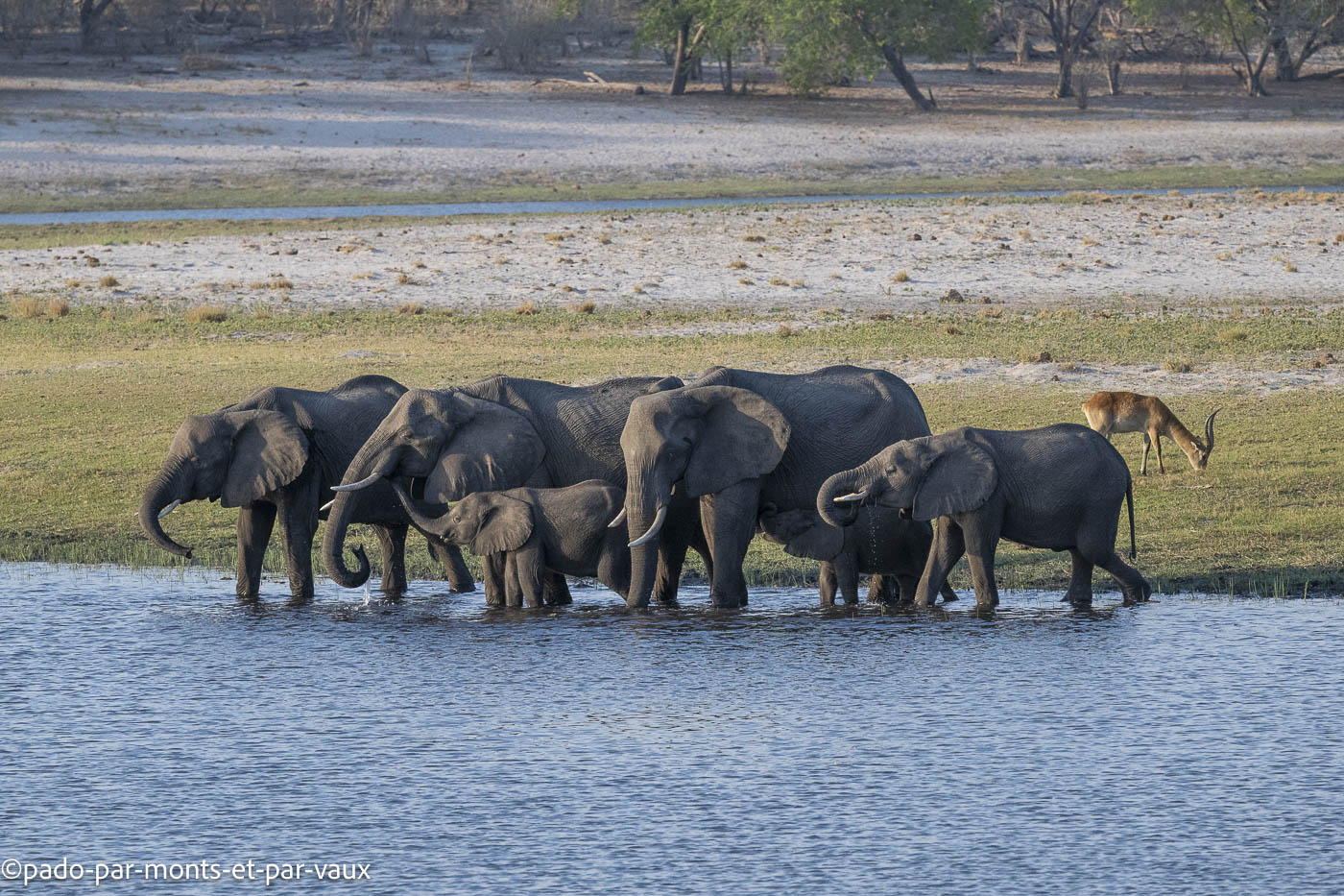 parc Bwabwata parc Bwabwata
