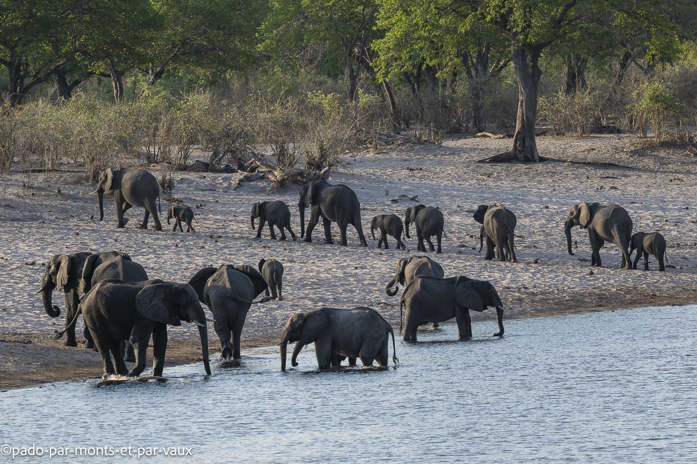 parc Bwabwata parc Bwabwata