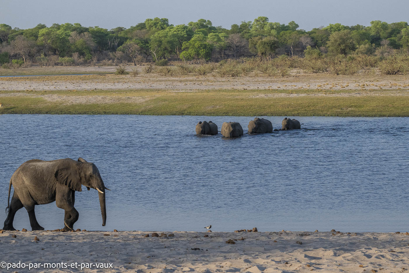 parc Bwabwata parc Bwabwata