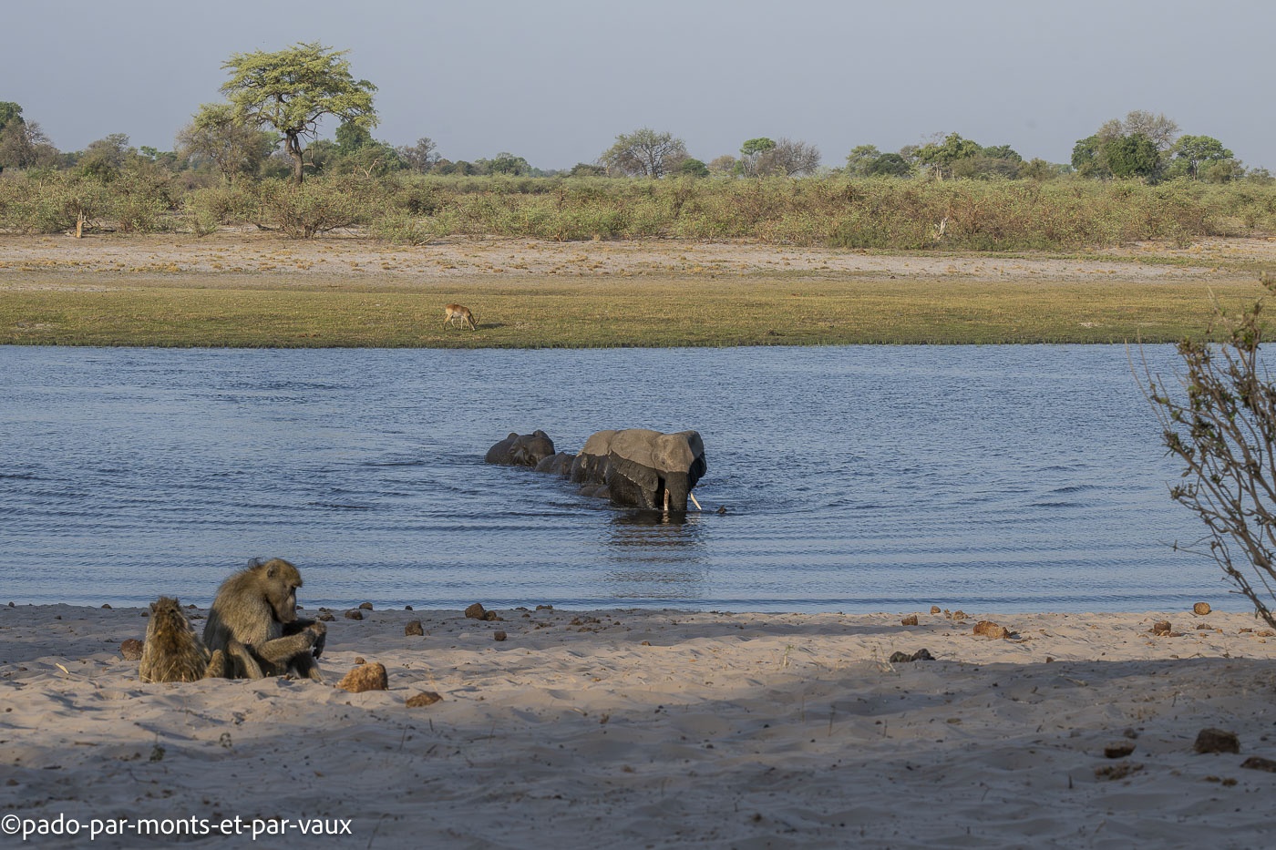 parc Bwabwata parc Bwabwata