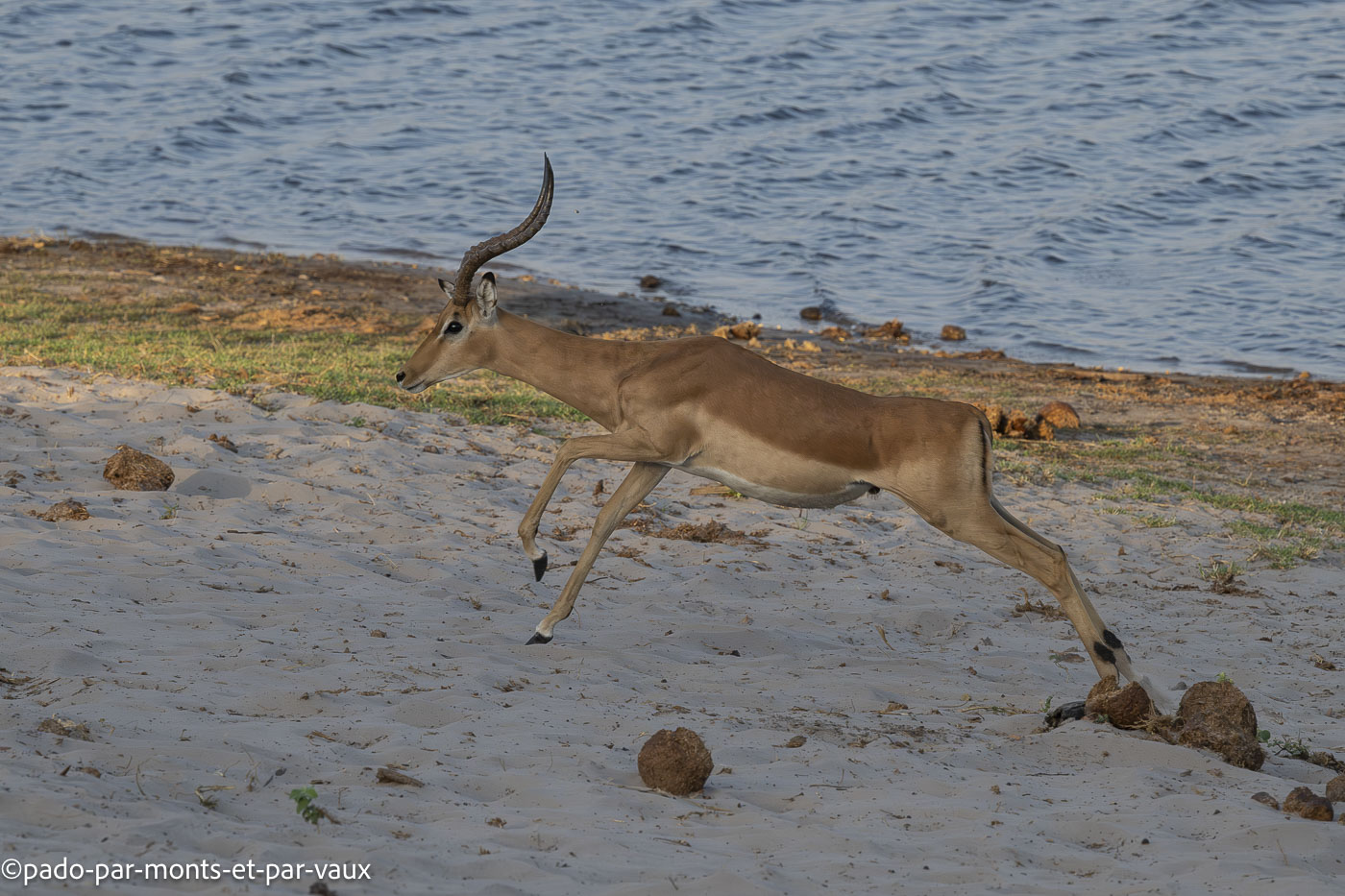 parc Bwabwata parc Bwabwata