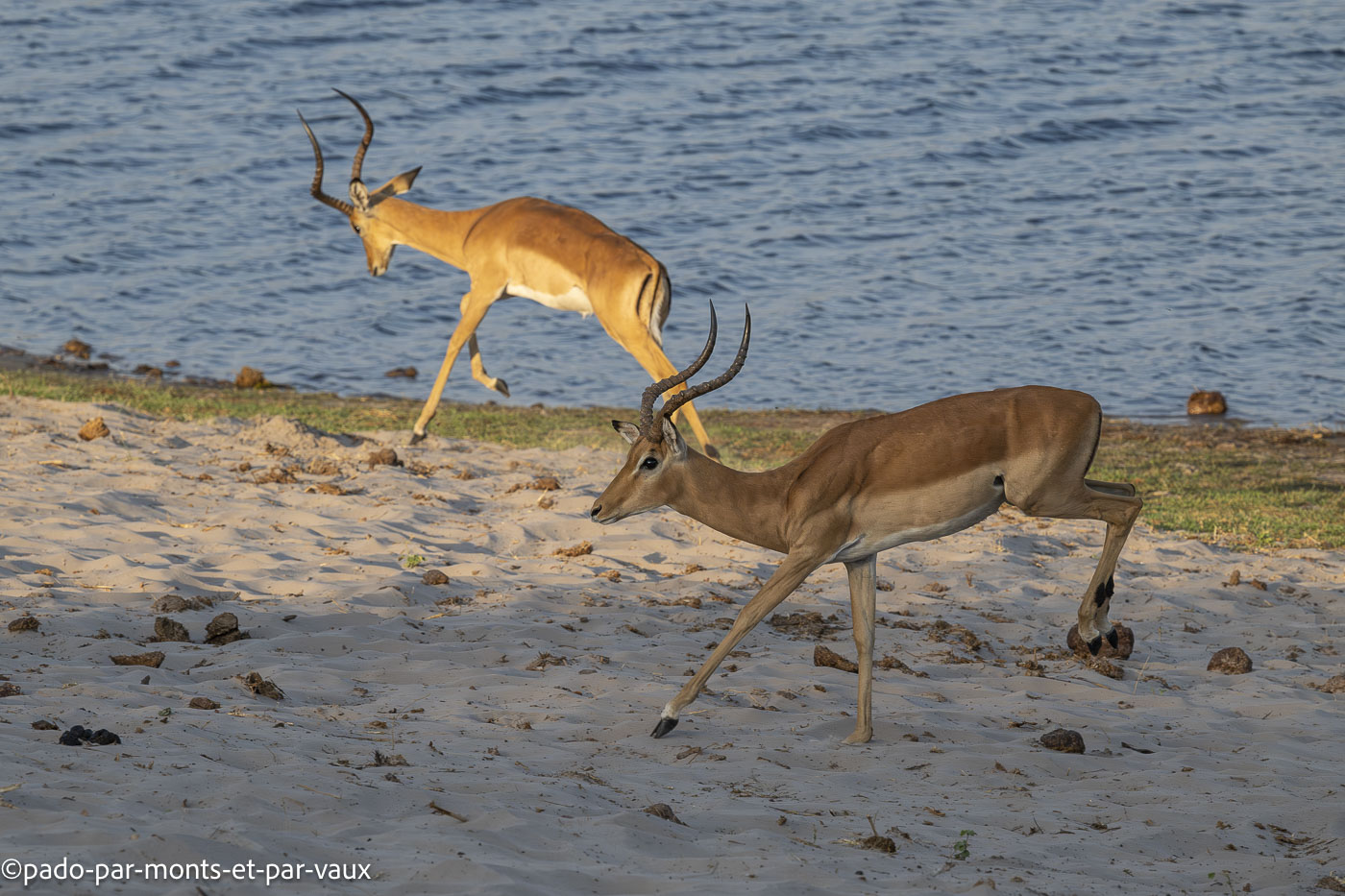 parc Bwabwata parc Bwabwata