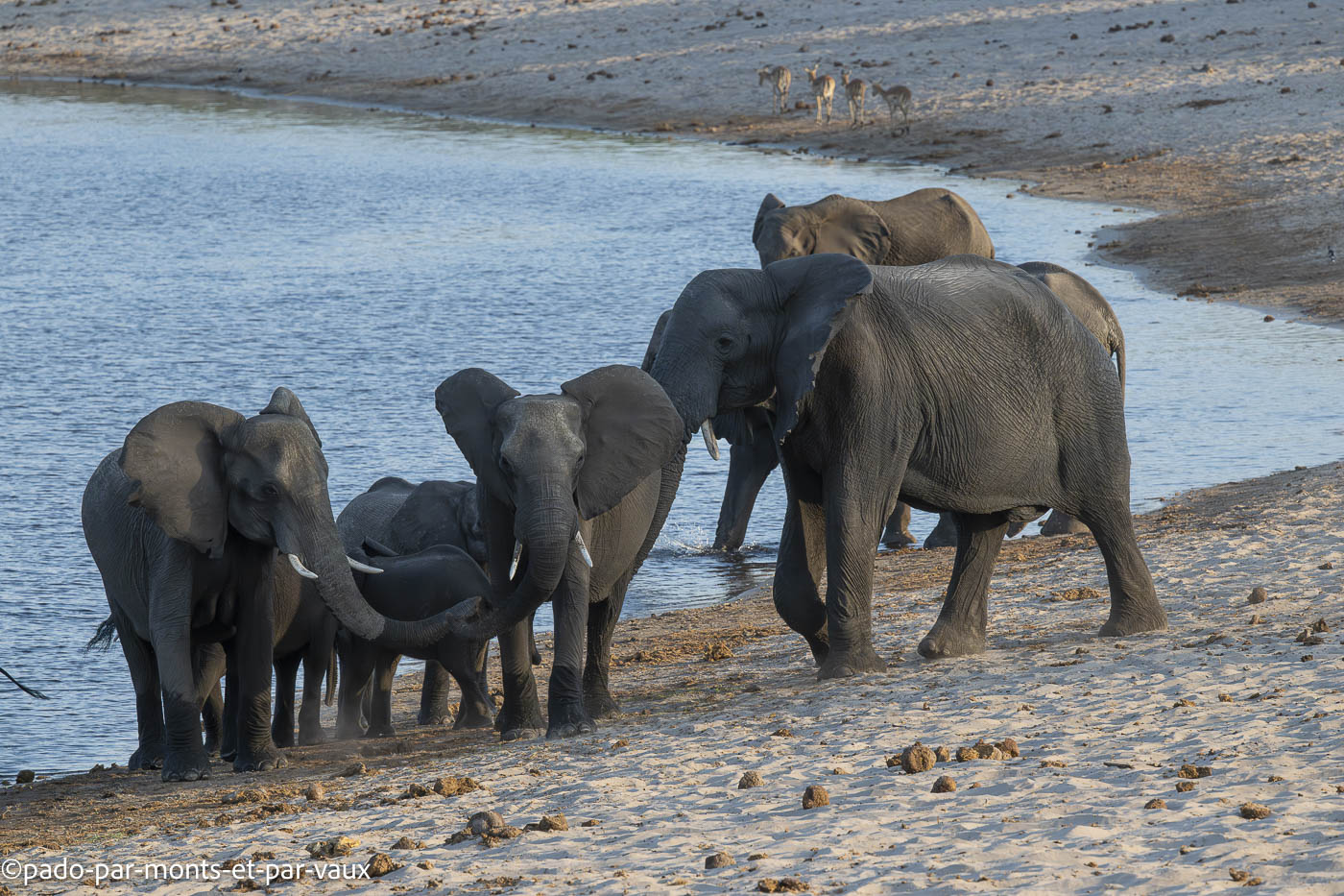 parc Bwabwata parc Bwabwata