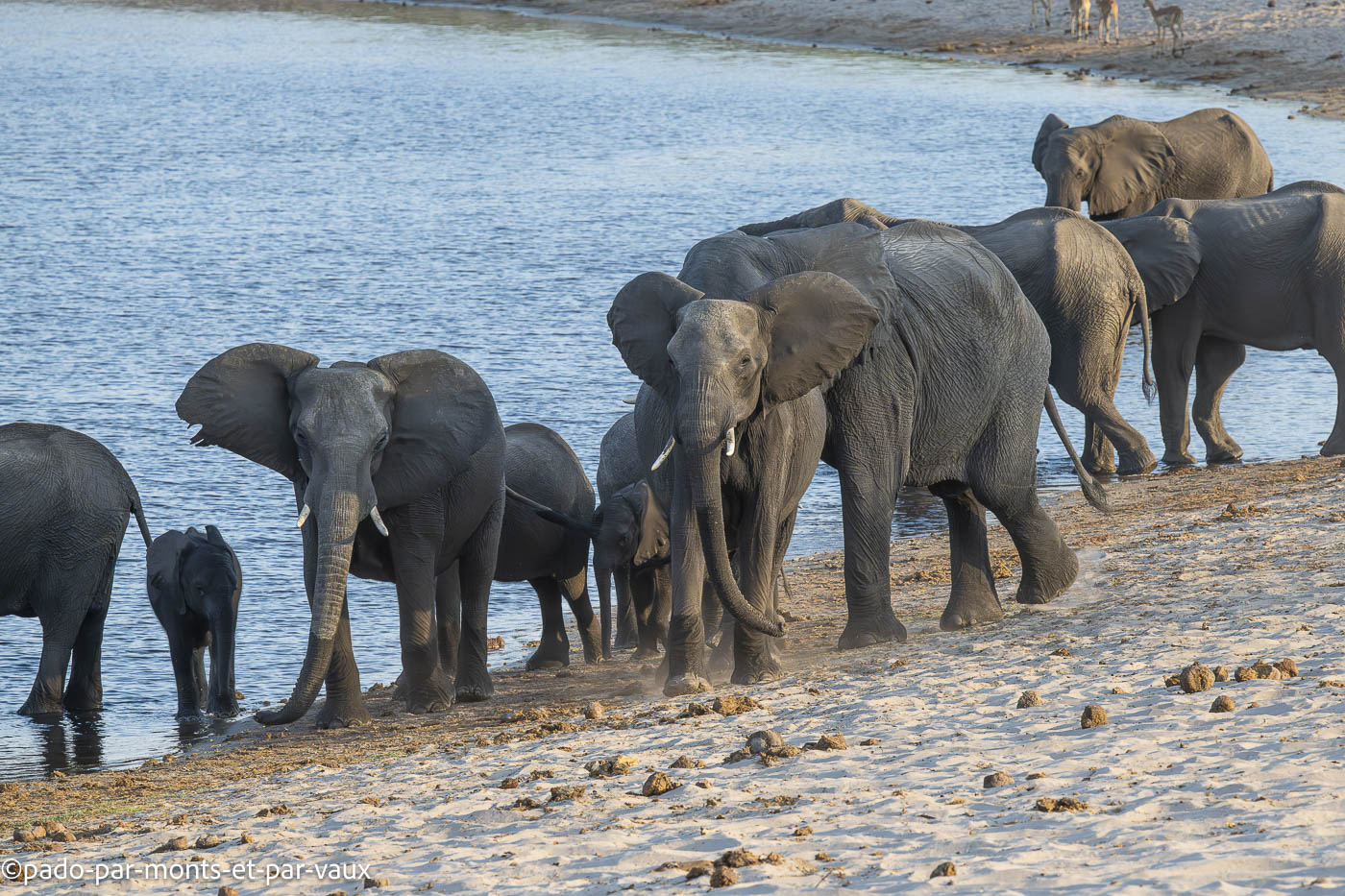 parc Bwabwata parc Bwabwata