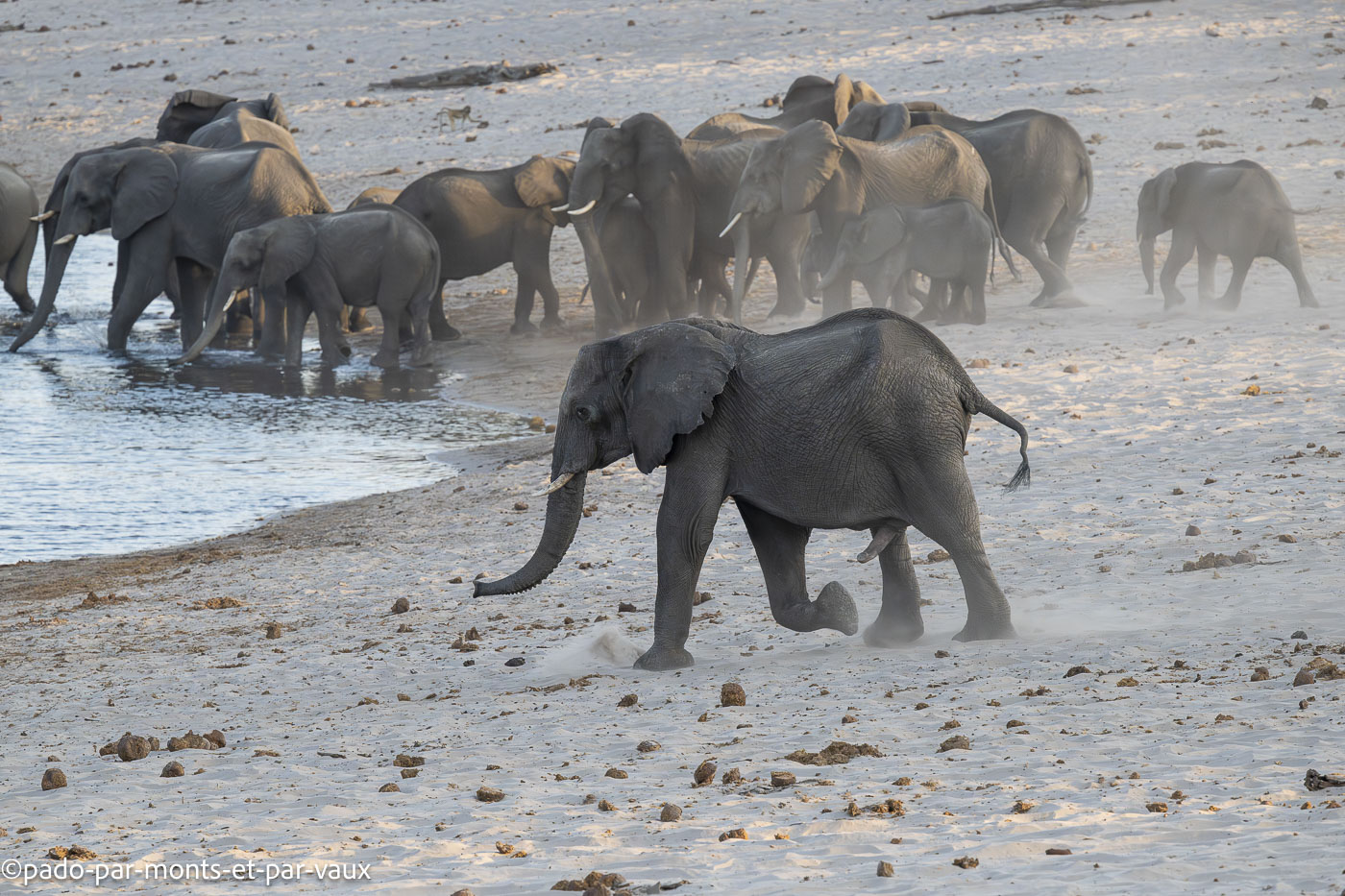 parc Bwabwata parc Bwabwata