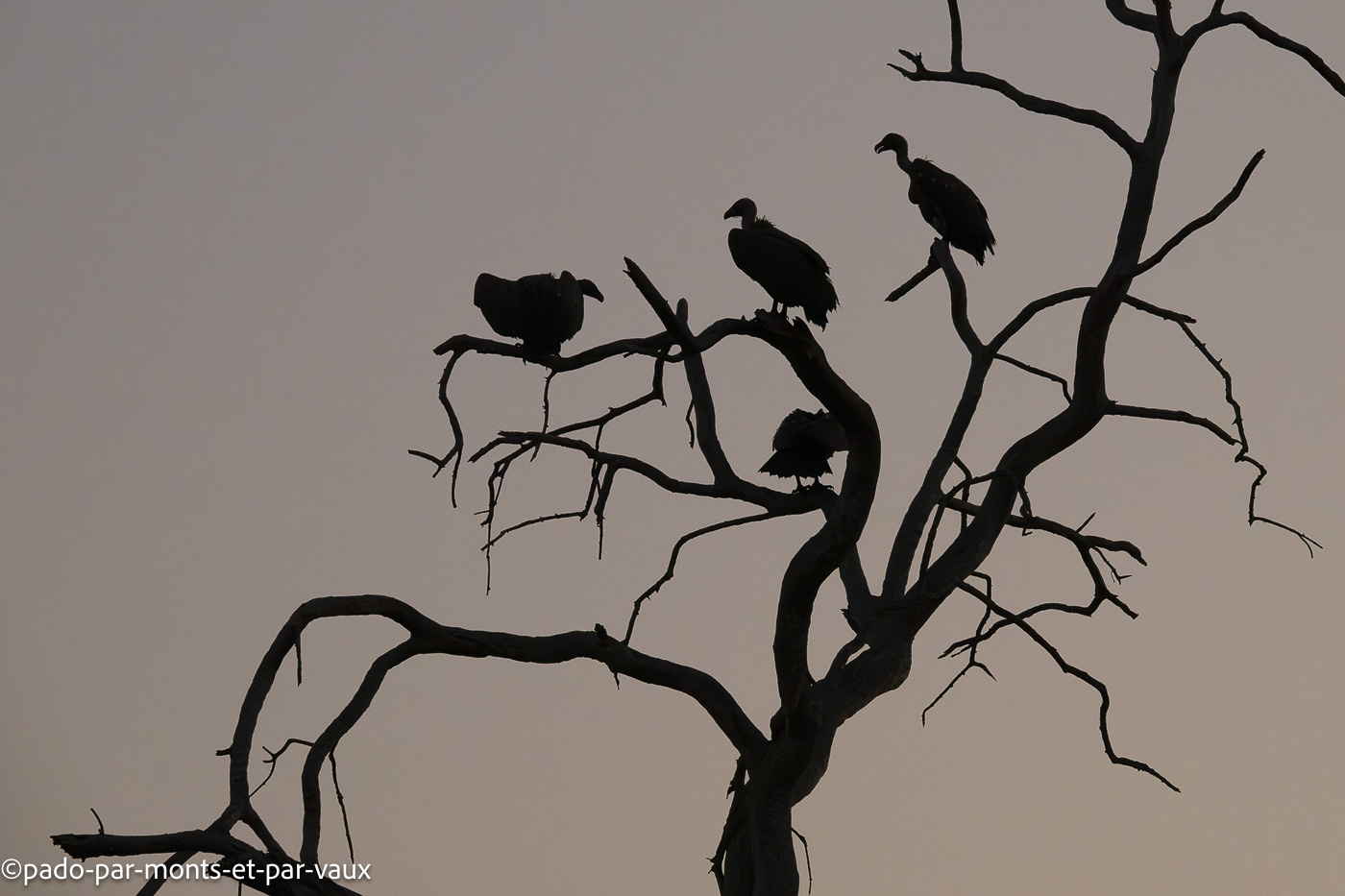 parc Bwabwata parc Bwabwata