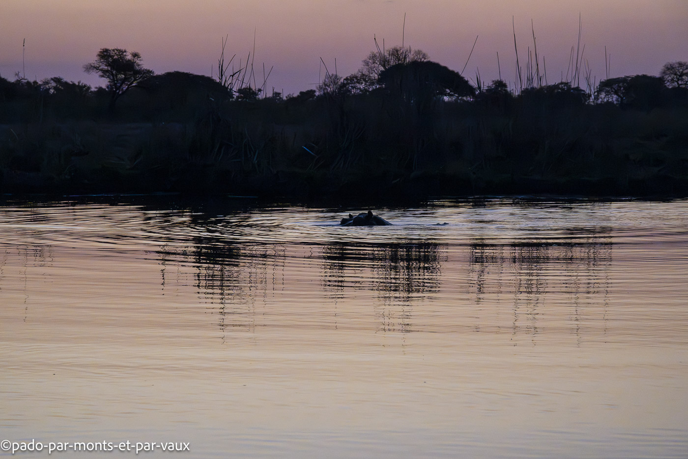 Kwando river rivière Kwando