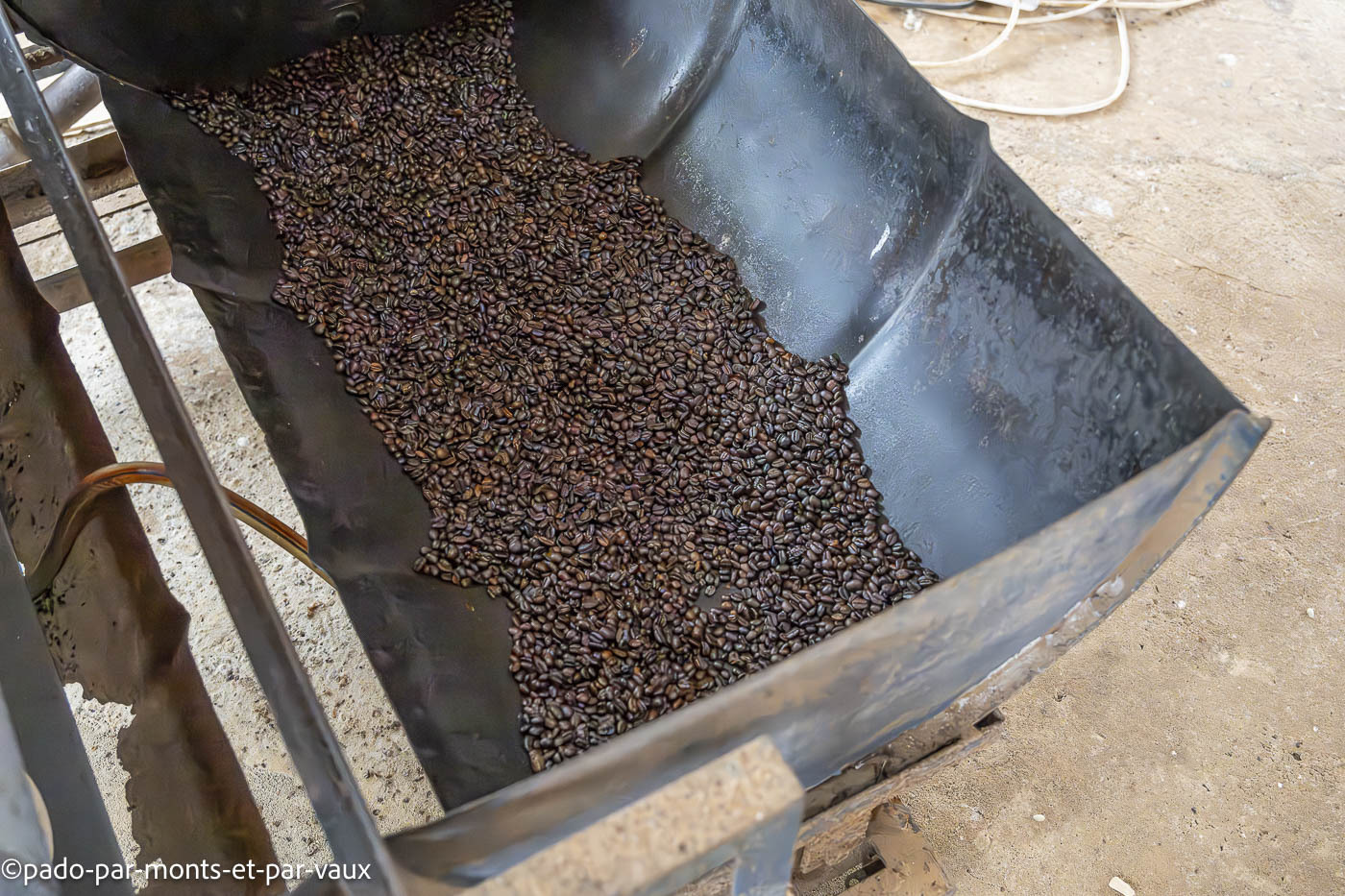 Mystic mountain coffee Mystic mountain coffee