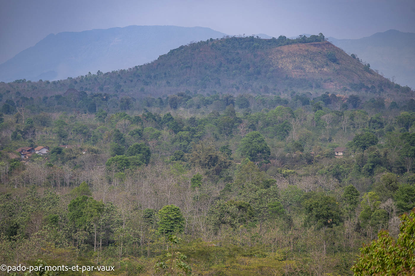 Mystic mountain coffee Mystic mountain coffee