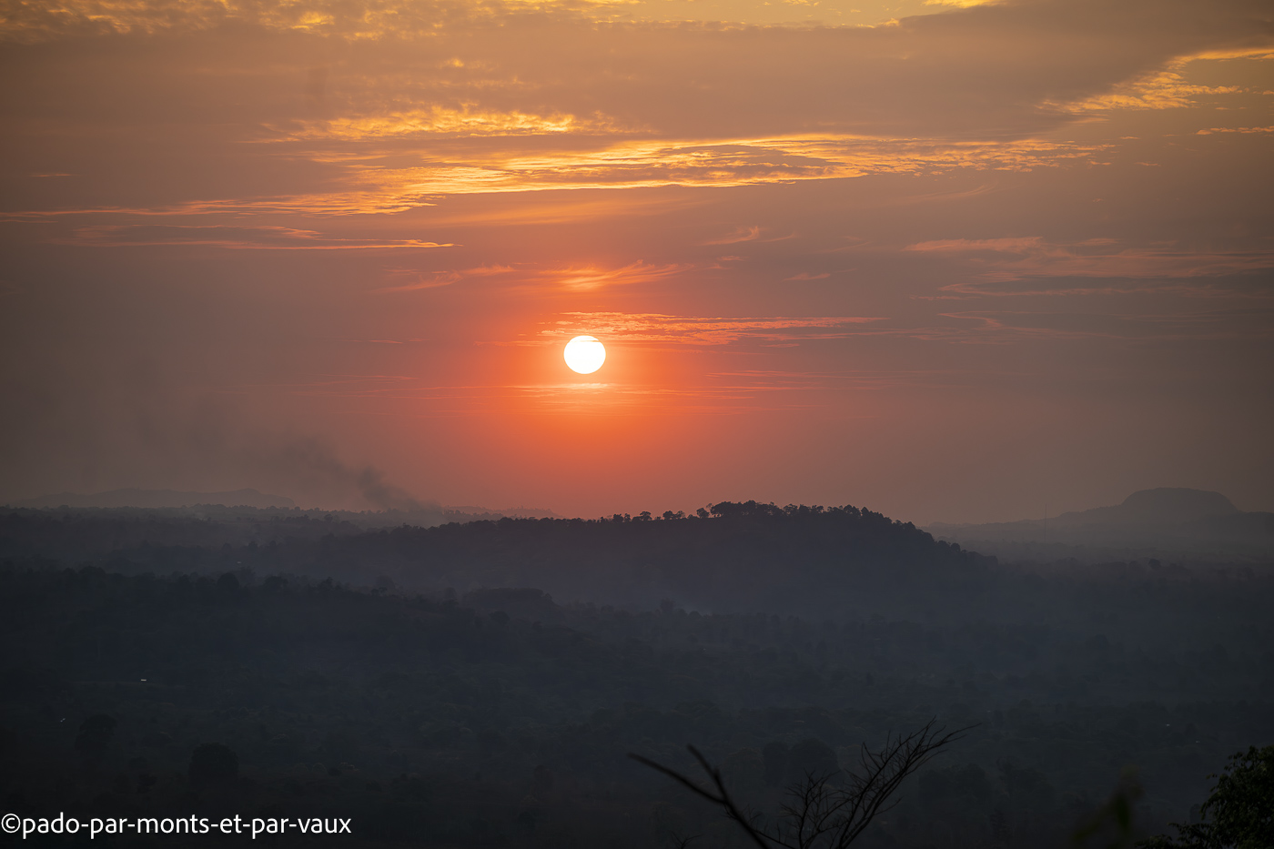 plateau des Boloven Mystic mountain coffee