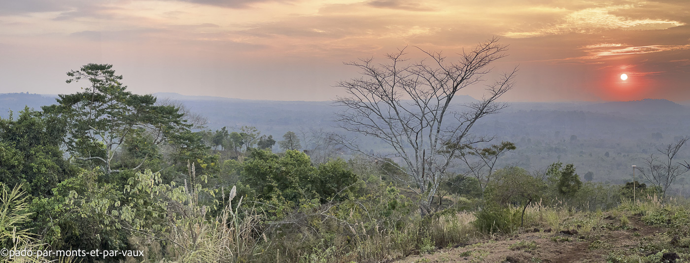 Mystic mountain coffee Mystic mountain coffee