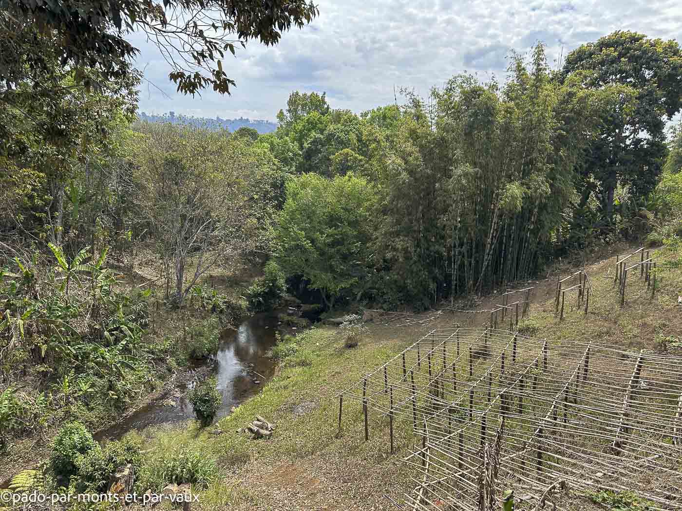 Mystic mountain coffee Mystic mountain coffee