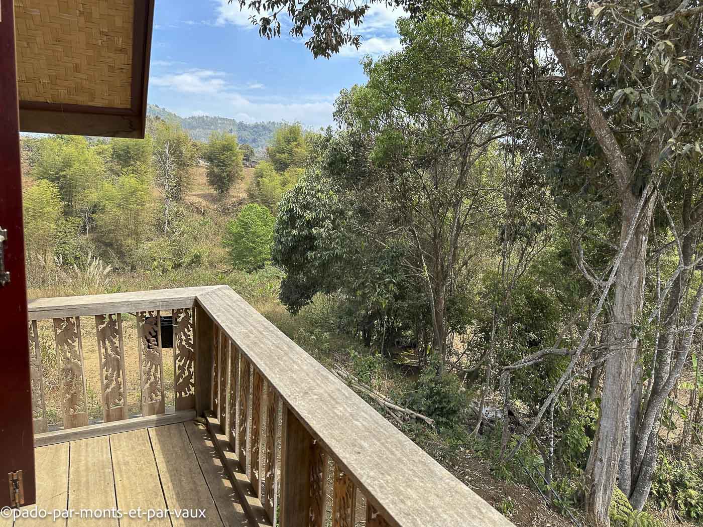 Mystic mountain coffee Mystic mountain coffee