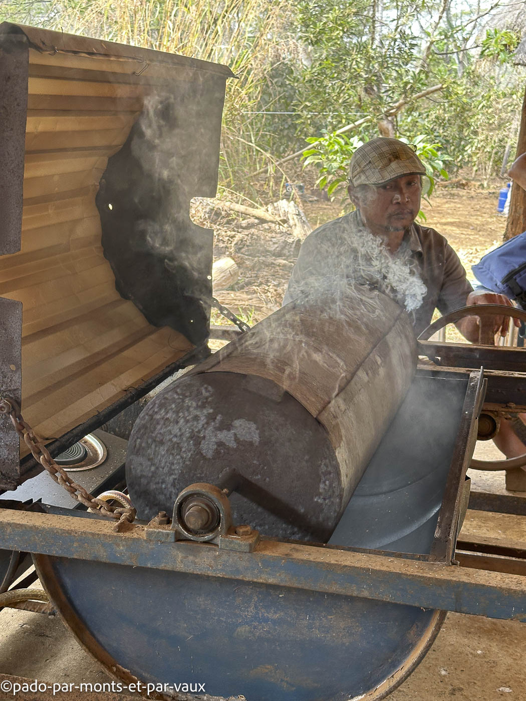 Mystic mountain coffee Mystic mountain coffee