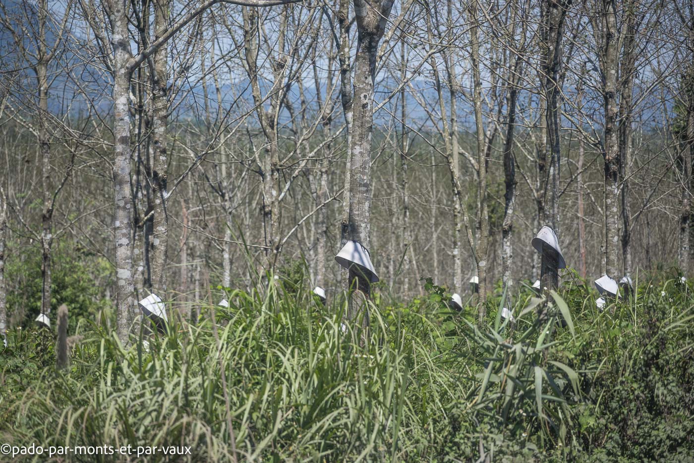 route de Lalay route de Lalay