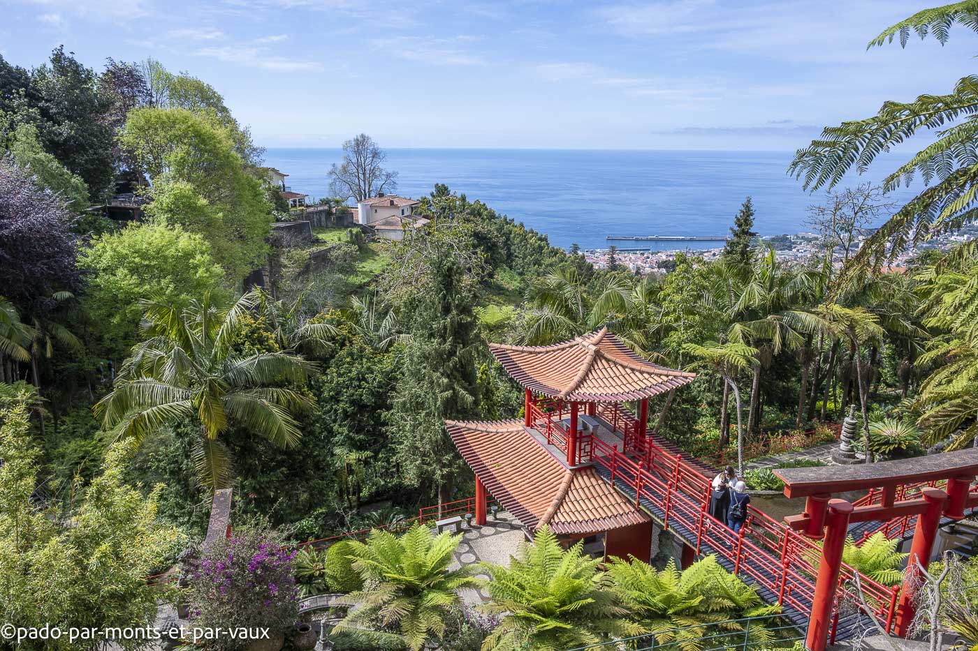 Funchal-Jardin tropical Monte