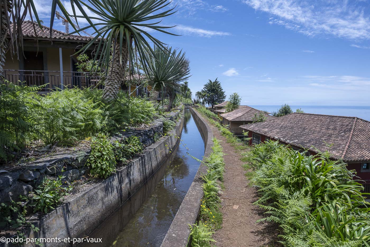Funchal-rando entre jardins Funchal-rando